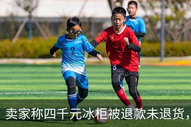 卖家称四千元冰柜被退款未退货，实地探访发现买家仍在使用 买家回应：冰柜未达到承诺温度